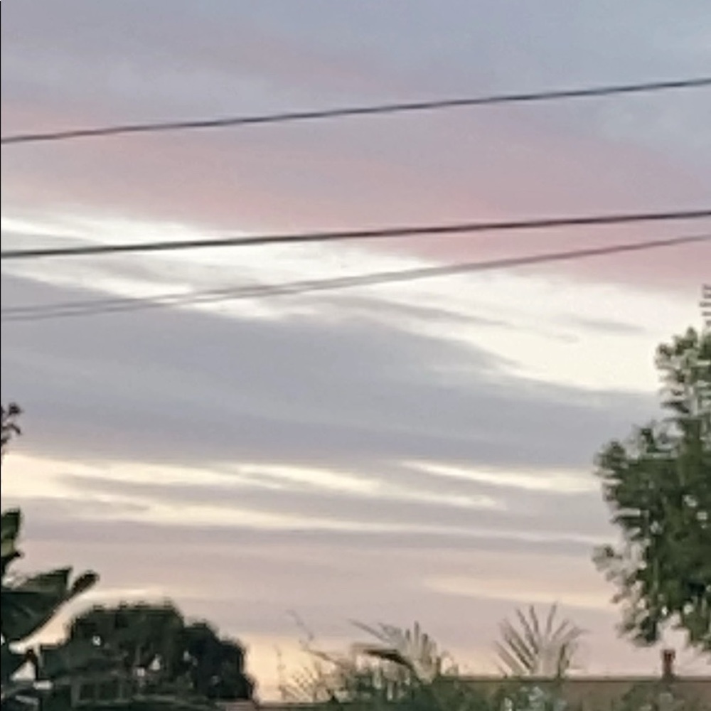 Meet your Posher, Alisa